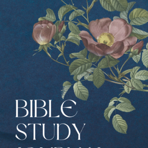 BIBLE STUDY JOURNAL Old Testament (Notebook Edition)